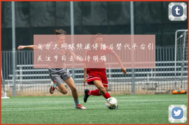 高尔夫网球频道停播后替代平台引关注节目去向待明确