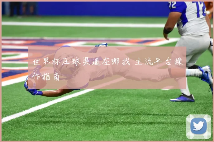 世界杯压球渠道在哪找 主流平台操作指南