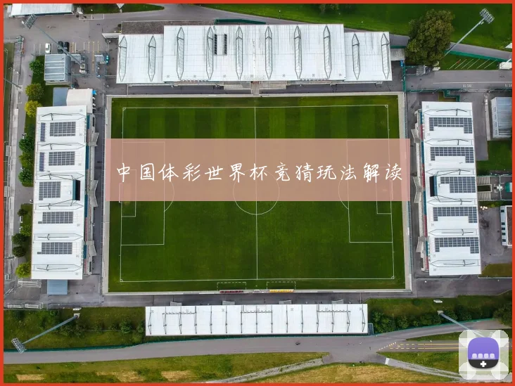 中国体彩世界杯竞猜玩法解读