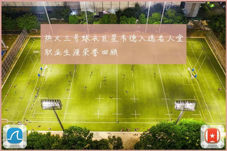 热火三号球衣巨星韦德入选名人堂职业生涯荣誉回顾