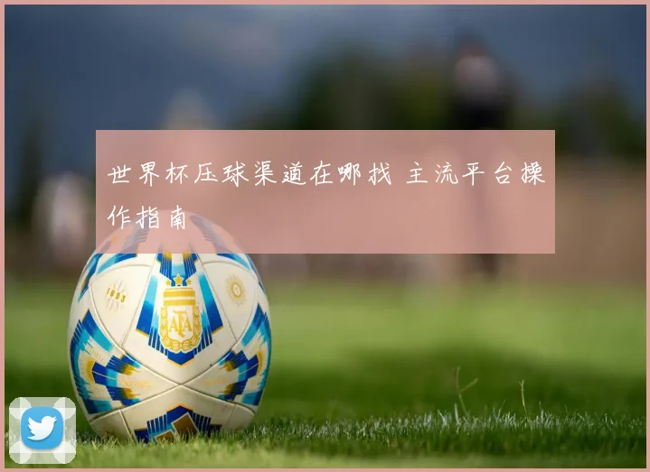 世界杯压球渠道在哪找 主流平台操作指南