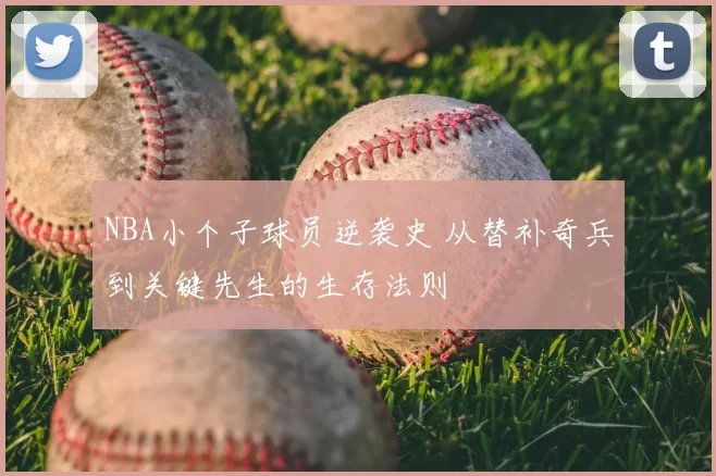 NBA小个子球员逆袭史 从替补奇兵到关键先生的生存法则