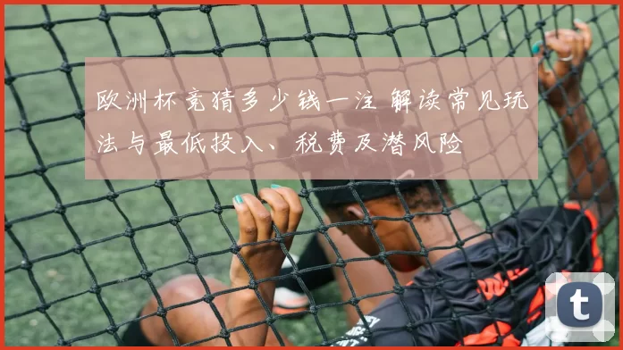 欧洲杯竞猜多少钱一注 解读常见玩法与最低投入、税费及潜风险