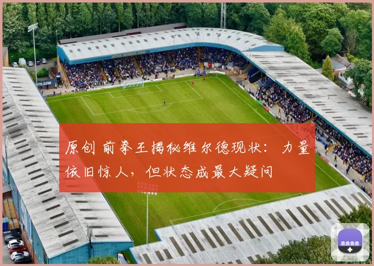 原创 前拳王揭秘维尔德现状：力量依旧惊人，但状态成最大疑问